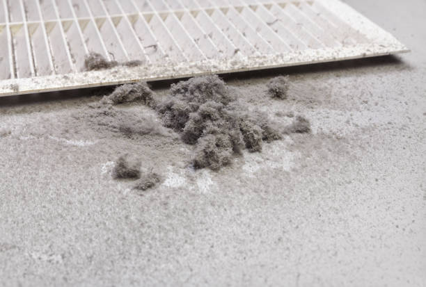 Best Residential Air Duct Cleaning  in La Mesilla, NM