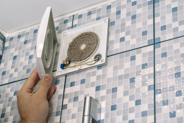 Best Home Air Vent Cleaning  in La Mesilla, NM