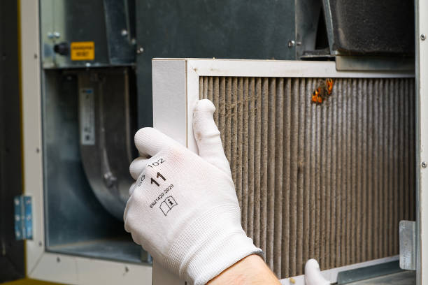 Best Affordable Air Duct Cleaning  in La Mesilla, NM