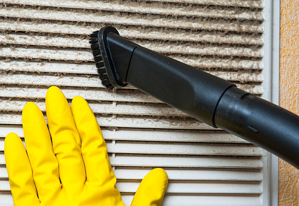 Best Air Duct Cleaning Near Me  in La Mesilla, NM